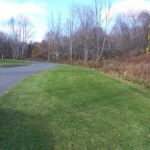 Vegetated Filter Strips