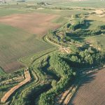 Multiple rows of trees and shrubs, as well as a native grass strip, combine in a riparian buffer to protect Bear Creek in Story County, Iowa. The buffer, on the Ron Risdal and Lonnie Strum farms, is a nationally designated demonstration area for riparian buffers.