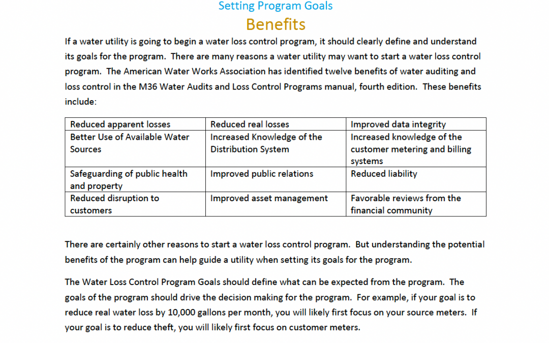 Water Loss Control Goal Setting