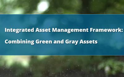Seeing in Gray and Green – Integrated Asset Management Explained