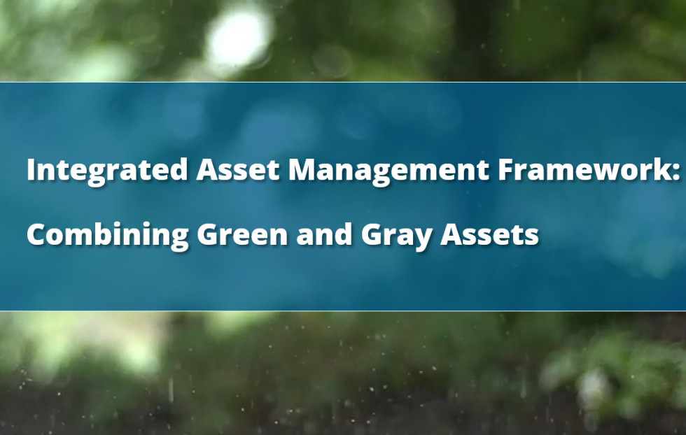 Seeing in Gray and Green Integrated Asset Management Explained