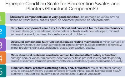Example Condition Scales for Bioretention Swales and Planters