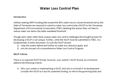 Water Loss Control Plan Template