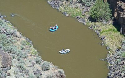 Restoring Clean Water Protections: Senate Bill 21/22 – Pollutant Discharge Elimination System Act and Water Quality Act
