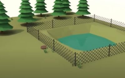 How to Maintain Your Residential Lagoon