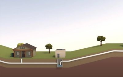 What Happens When You Flush?