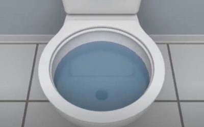 Where Does Wastewater Go When You Flush?