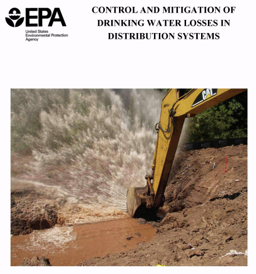 Control and Mitigation of Drinking Water Losses in Distribution Systems