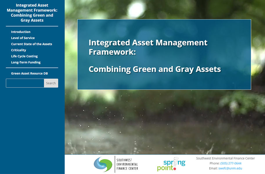 Integrated Asset Management Framework: Combining Green and Gray Assets