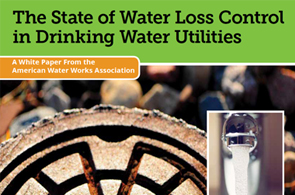 The State of Water Loss Control in Drinking Water Utilities