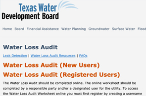 Water Loss Audit