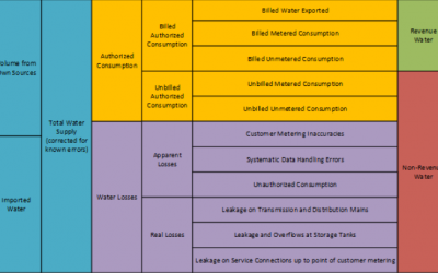 Generic v6 Water Loss Audit Procedures Template